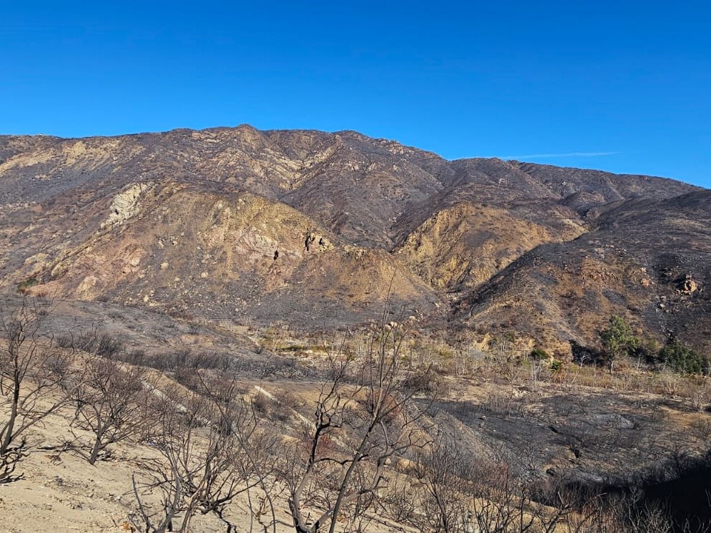 Los Angeles
